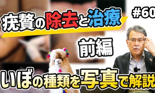 生姜和核桃蜂蜜的功效与作用-生姜和核桃蜂蜜的功效网- 生姜加核桃知识,分享生姜和核桃蜂蜜的功效和作用